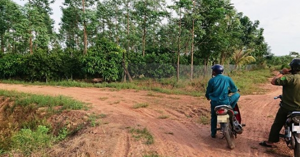 Đất rừng bị xà xẻo mua bán trái phép tại tỉnh Đắk Lắk
