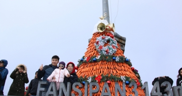 Du khách đổ lên Fansipan chiêm ngưỡng “cây thông Noel đẹp nhất châu Âu”
