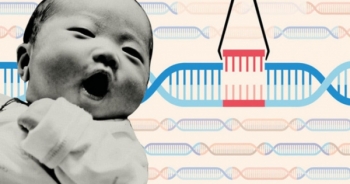 Lý do khiến nghiên cứu chỉnh sửa gene người ở Trung Quốc bị phản đối
