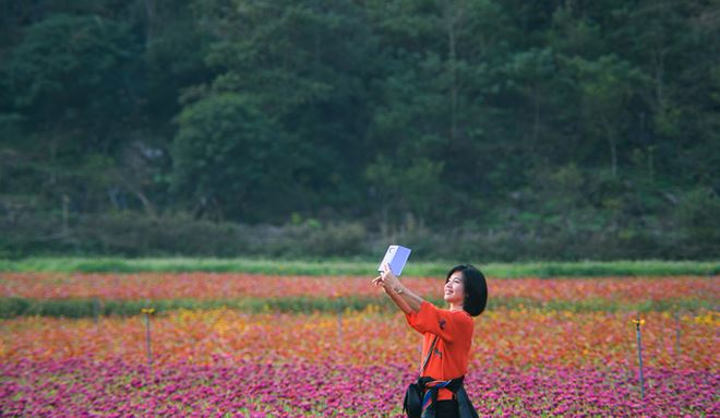 B&ecirc;n trong thung lũng hoa lớn nhất Việt Nam