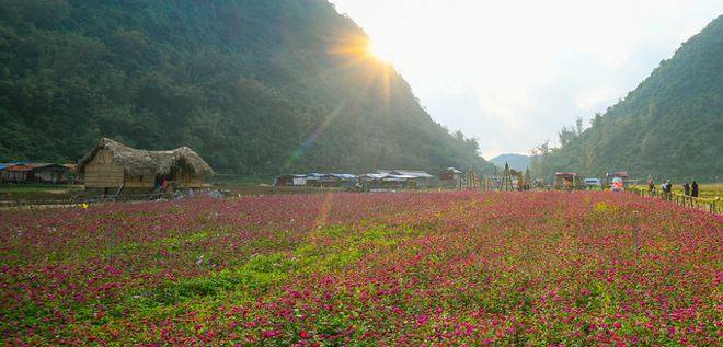 B&ecirc;n trong thung lũng hoa lớn nhất Việt Nam