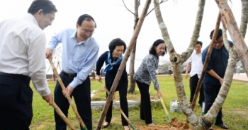 Vinamilk trồng cây xanh góp phần chống biến đổi khí hậu tại Bình Định