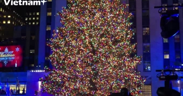 Thắp sáng cây thông khổng lồ chào đón mùa Giáng sinh tại New York