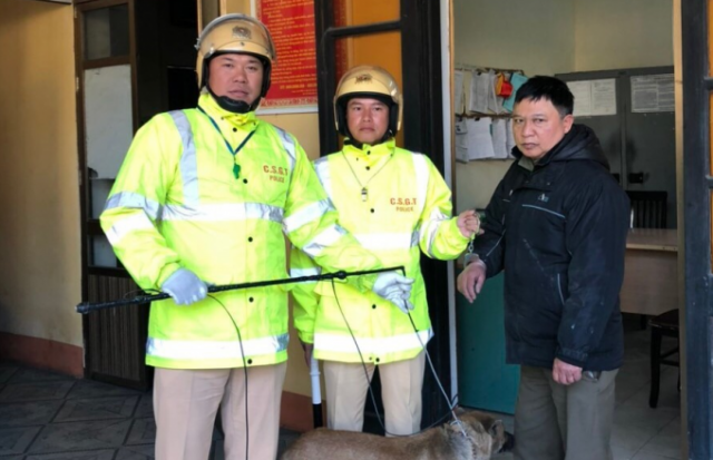Quảng Ninh: CSGT tóm gọn đối tượng trộm chó