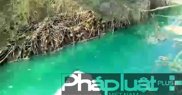 Bình Dương: Nước mương chuyển màu xanh, bốc mùi hôi như thuốc trừ sâu