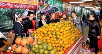 Tuyên Quang: Gấp rút chuẩn bị tổ chức Hội chợ cam sành huyện Hàm Yên năm 2020