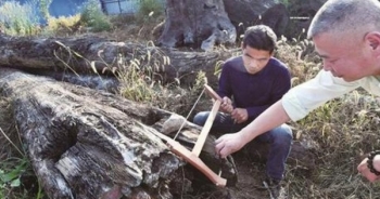 Nhặt khúc gỗ xấu xí vứt ngoài vườn, 5 năm sau mới biết là kho báu hơn 60 tỷ đồng
