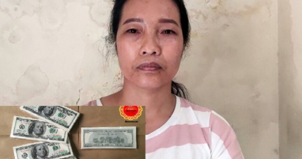Hà Nội: Tạm giữ hình sự nữ giúp việc trộm 5.000 USD