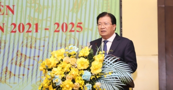 Phó Thủ tướng Trịnh Đình Dũng chủ trì Hội nghị về thúc đẩy sản xuất, chế biến và xuất khẩu lâm sản