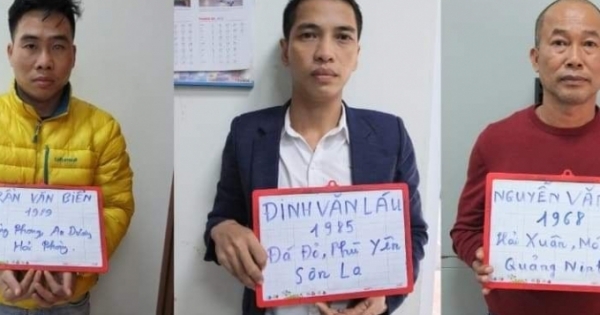 Quảng Ninh: Triệt xóa 3 tụ điểm có hành vi mua bán dâm