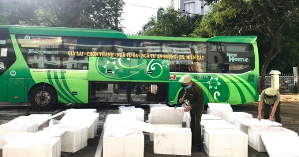 Đắk Lắk: Phát hiện xe khách vận chuyển 1,7 tấn nội tạng heo bốc mùi