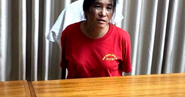 Hé lộ nhiều tình tiết rùng mình trong vụ giết cháu người tình cướp tài sản ở Bình Thuận