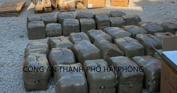 Hải Phòng: Phát hiện hơn 600 kg chất ma túy giấu trong container gửi về từ Singapore