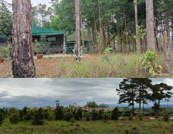 Nhiều ngôi nhà kiên cố mọc lên trên đất rừng đã bị thu hồi