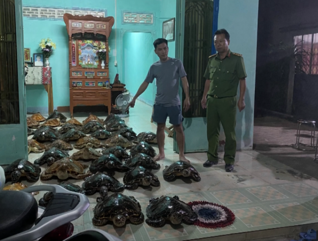 Kịp thời ngăn chặn vụ mua bán 39 cá thể Đồi Mồi ở Tây Ninh