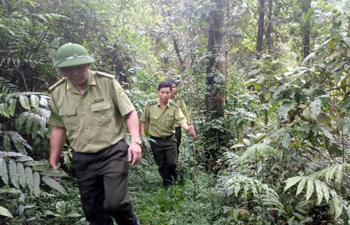 Nghệ An: Ban quản lý rừng Đặc dụng Nam Đàn nợ BHXH gần nửa tỷ đồng