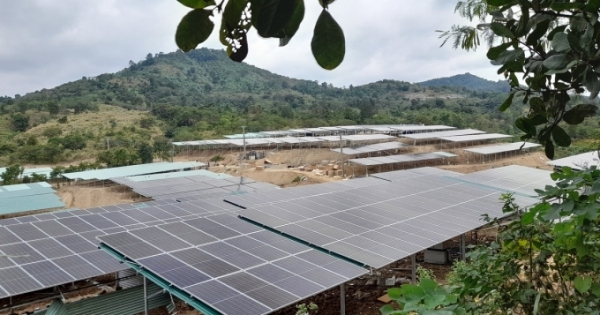 Đội lốt dự án nông nghiệp làm điện mặt trời