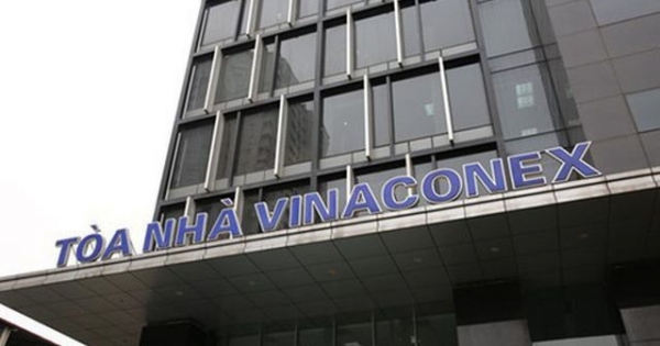 Cổ phiếu Vinaconex bất ngờ tăng, vốn hóa thị trường khoảng 19.877 tỷ đồng
