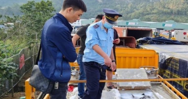 Giật mình trước nguy cơ “vỡ trận” nhập khẩu cá tầm vào Việt Nam