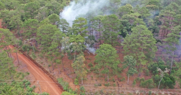 Đất rừng ở huyện Bảo Lâm được "phù phép" thành đất tư nhân vì quản lý còn nhiều bất cập?