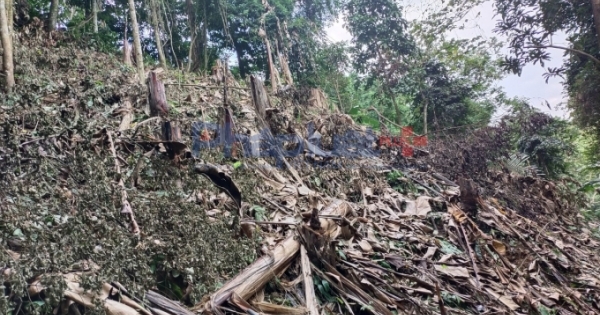 Kỳ 1 - Nhức nhối tình trạng phá rừng ở Xuân Giang