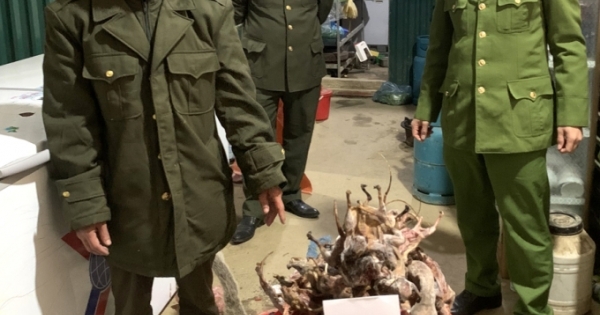 Hà Giang: Phát hiện 2 vụ tàng trữ 431 cá thể động vật hoang dã