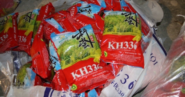 Xử phạt 80 triệu đồng chủ sở hữu 2 tấn lúa giống chưa được cấp phép tại TP Vinh