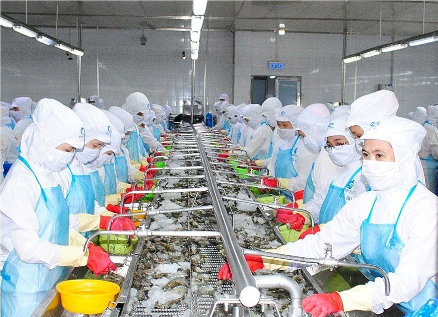 Thủy sản mặt hàng xuất khẩu chủ lực của Việt Nam. Ảnh: TL