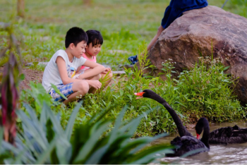 Sống ở Ecopark, trẻ nhỏ có tuổi thơ gần gũi thiên nhiên