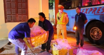 Nghệ An: Thu giữ hơn 300 kg sản phẩm động vật bốc mùi hôi thối "ngụy trang" trên xe khách