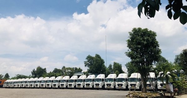 Công ty TNHH giao nhận vận tải Lục Phát chinh phục thị trường kinh tế khó tính