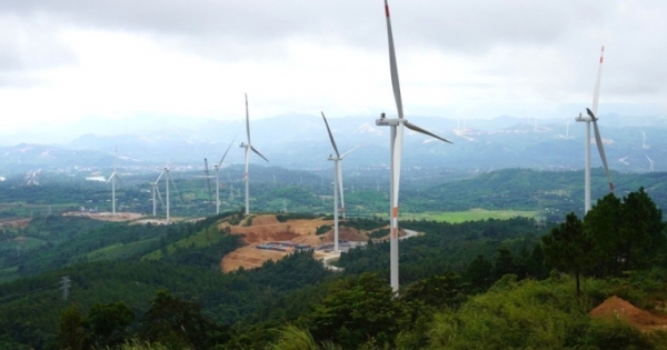 Điện gió đạt 85% công suất lắp đặt nhờ… gió mùa Đông Bắc