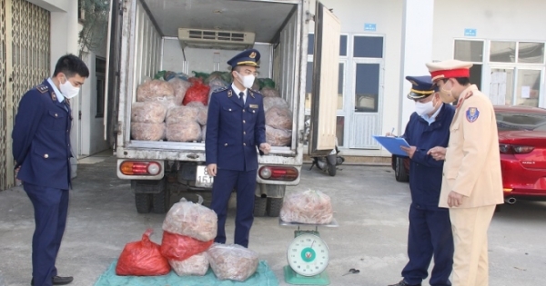 Thanh Hoá: Bắt giữ xe ô tô vận chuyển 1,4 tấn bì lợn không có nguồn gốc, xuất xứ