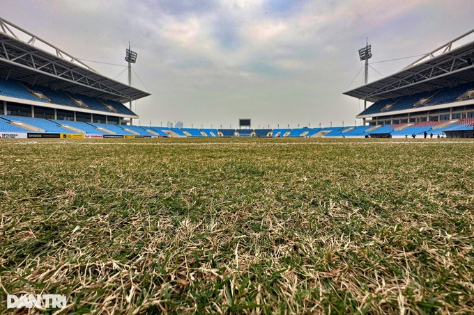 Mặt cỏ sân Mỹ Đình xuống cấp khi đội tuyển Việt Nam thi đấu ở AFF Cup 2022 (Ảnh: Mạnh Quân).