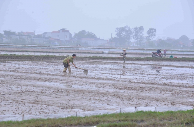 Một xã ở Nam Định hợp pháp hóa đất lấn chiếm thành đất ở