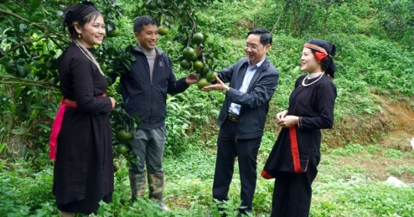 Quang Bình thực hiện hiệu quả công tác giảm nghèo