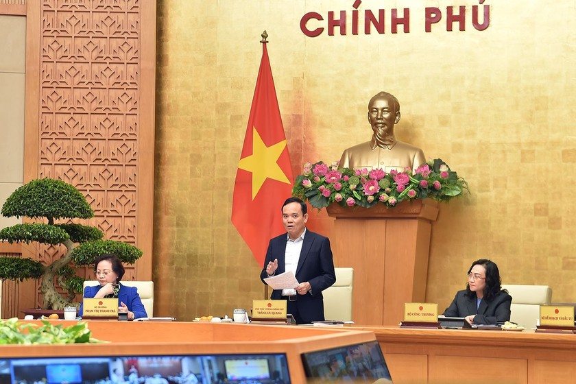 Phó Thủ tướng Chính phủ Trần Lưu Quang phát biểu tại Hội nghị. (Nguồn ảnh: congluan.vn)