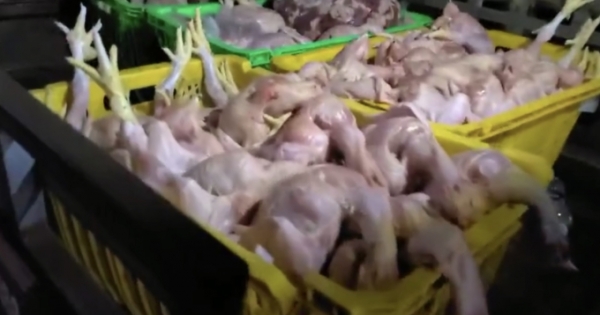 Đồng Nai: Thu giữ hàng trăm kg thịt động vật không rõ nguồn gốc