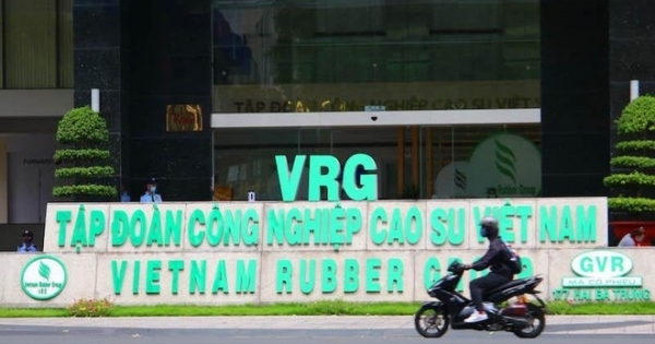 Tập đoàn Cao su Việt Nam (GVR) hạ kế hoạch lợi nhuận hơn 900 tỷ đồng