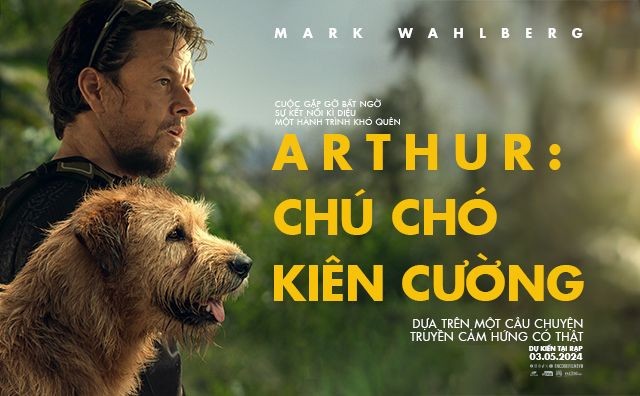 'Arthur the King' - nghị lực của chú chó hoang - Góc điện ảnh #14